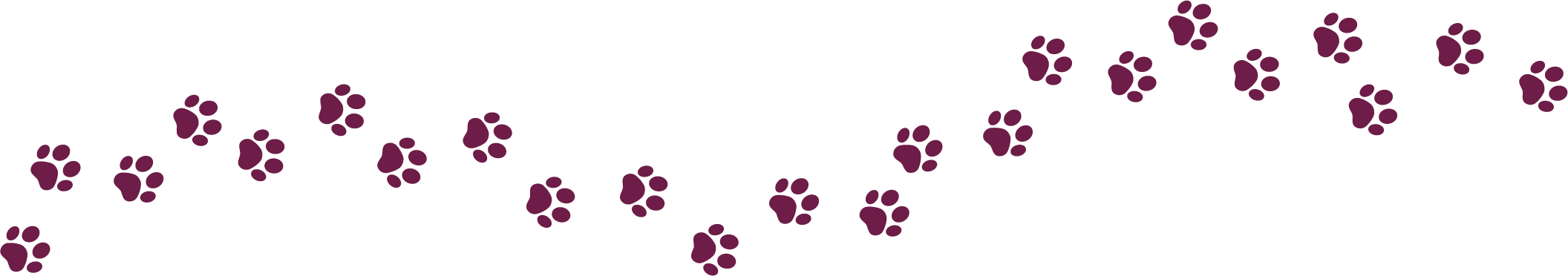 paw prints