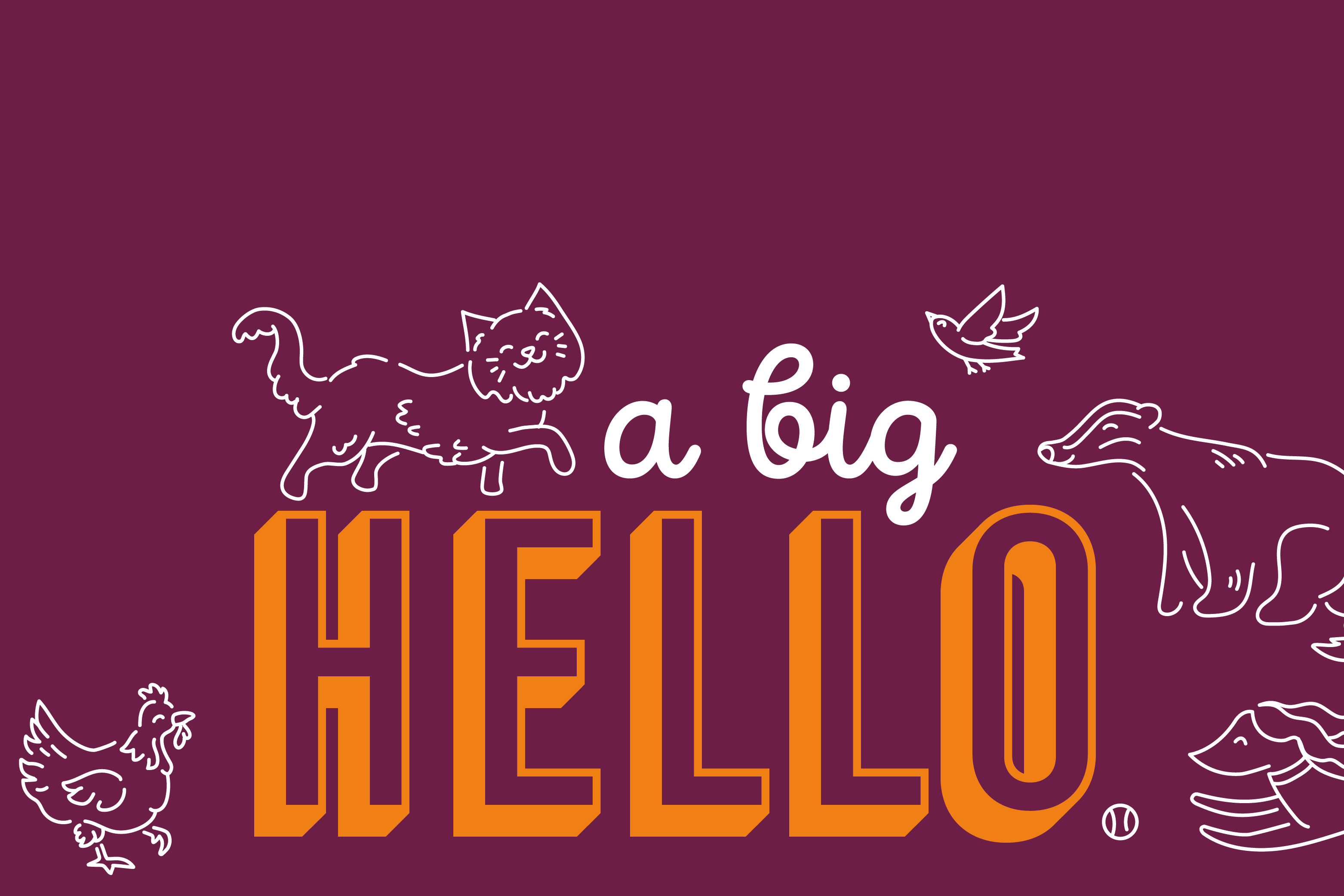 Who we are Banner