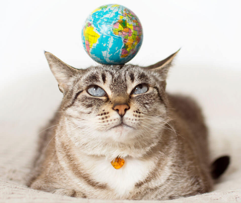 Export