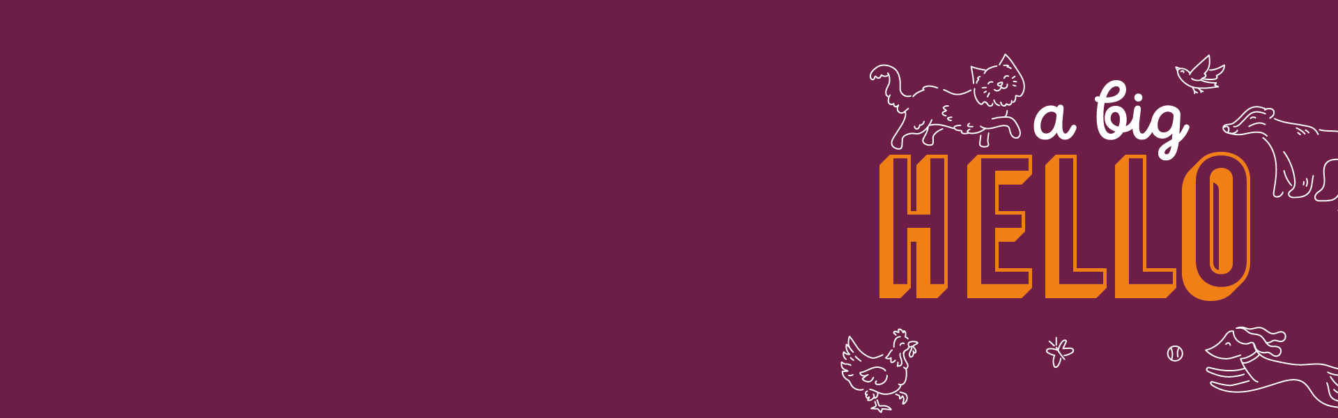 Who we are Banner