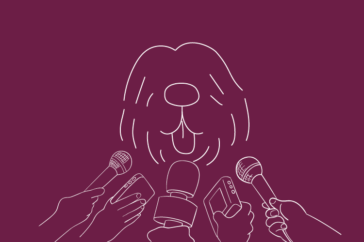 News Banner